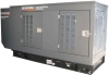 Газовый генератор Generac SG36/PG32 в кожухе